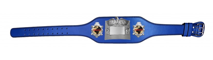 SMALL SILVER EAGLE CUSTOM CHAMPIONSHIP BELT PLT299/S/CUSTOM - AVAILABLE IN 4 COLOURS - BLACK, RED, BLUE, GREEN SMALL SILVER EAGLE CUSTOM CHAMPIONSHIP BELT PLT299/S/CUSTOM - AVAILABLE IN 4 COLOURS - BLACK, RED, BLUE, GREEN